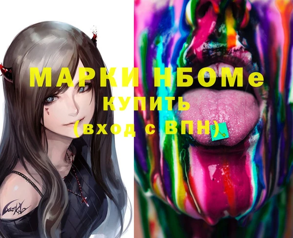 стаф Аркадак