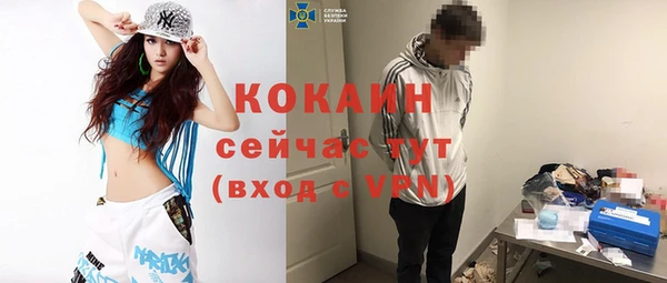 стаф Аркадак