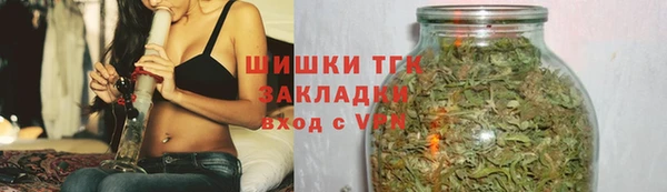 стаф Аркадак