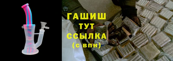 индика Богданович