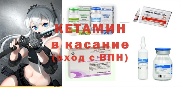 стаф Аркадак