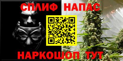 молекула духа Заводоуковск