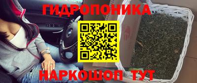 дживик Жуковский