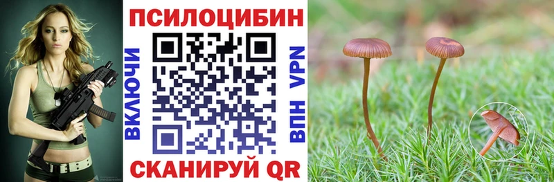 как найти наркотики kraken как войти Галлюциногенные грибы Psilocybine cubensis Нижний Тагил