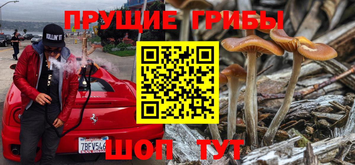 Галлюциногенные грибы мухоморы Нижний Тагил