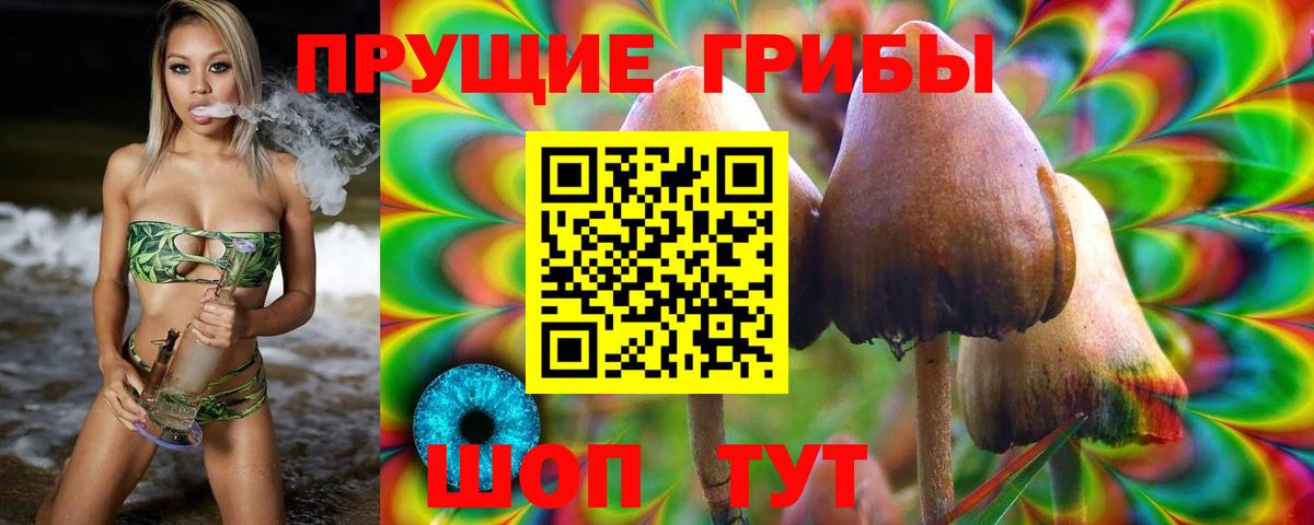 Нижний Тагил  Галлюциногенные грибы мицелий  Псилоцибиновые грибы Magic Shrooms  как найти наркотики  Вход с VPN 